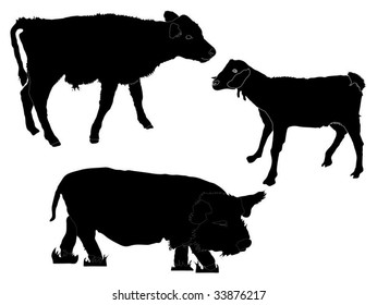 Vector calf, goat and pig (from the Petting zoo)
