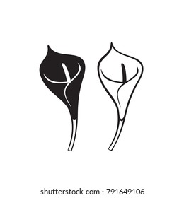 Vector Calla lily flower isolated on white background. Icons.