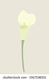 Vektorgrafik-Liliengrafik. Schöne Blume. Vektorgrafik. 