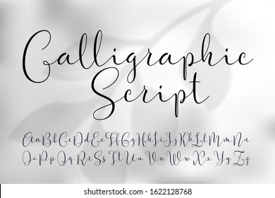 Vector calligraphic script font. Classic style handwritten typeface on light grey foliage background.