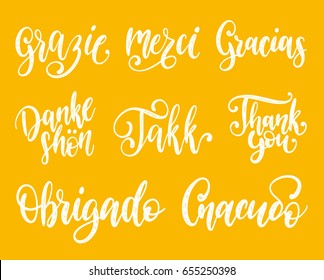 Vector calligraphic set of different languages translation of Thank You phrase. Hand lettering of international thankfulness word.