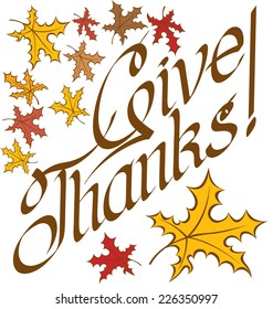 Vector calligraphic text Happy Thanksgiving as card title