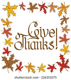 Vector calligraphic text Happy Thanksgiving as card title