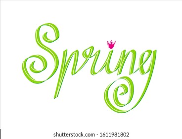 Vector calligraphic word Spring. Spring header in green on a white background.