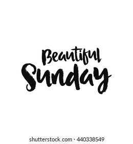 Vector calligraphy. Hand drawn lettering poster. Vintage typography card.