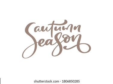 Vector calligraphy lettering text Autumn Season. Hand drawn fall red phrase. Illustration for greeting card or postcard print design. Template text design isolated on white background.