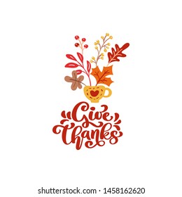 Vector calligraphy lettering text Give Thanks and illustration of cup with yellow leaves, branches with berries. Thanksgiving Day concept