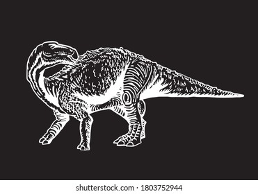 Vector camarasaurus isolated on black background, graphical illustration of dinosaur