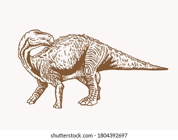 Vector camarasaurus , sepia background, graphical vintage  illustration of dinosaur