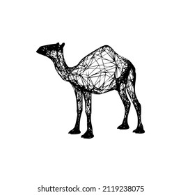 vector of a camel. animal vector that has a hump. simple vector.