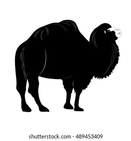 vector camel. black and white isolated image. silhouette