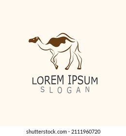 Vector Camel icons and logo design elements labels template vintage. Isolated on white backgroun
