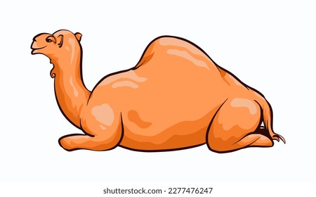 vector camel illustration, arabian camel ,desert camel with one hump. lying down, using flat 2d style.