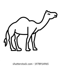 Vector Camel Outline Icon Design
