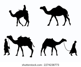 vector camel shading collection, arabian desert camel illustration.