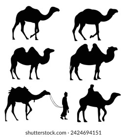 vector camel silhouette collection illustration