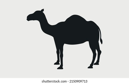 Vector Camel silhouette. Camel silhouette icon isolated on white background.