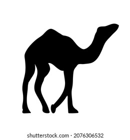 Vector camel silhouette, logo. Black color isolated on white background