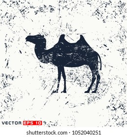 Vector camel silhouette on grunge background