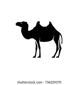 Vector camel silhouette view side for retro logos, emblems, badges, labels template vintage design element. Isolated on white background
