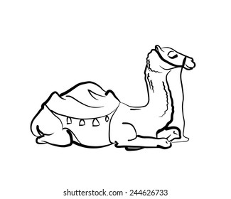 Vector Camel Sketch