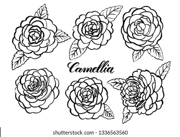Vector Camellia flowers set. Can be used as romantic background for web pages, wedding invitations, greeting cards, postcards, packaging design, prints, stickers, wrapping paper, patterns, textile.