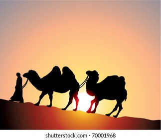 vector camels and bedouin