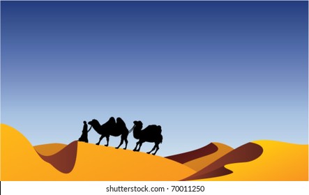 vector camels and bedouin in desert