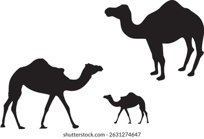 Vector Camels shapes.  isolated. Design element for muslim holiday, eid, adha, mubarak. Vector illustration