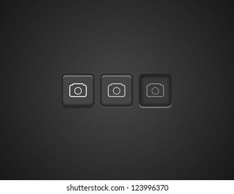 Vector camera / photo / picture button