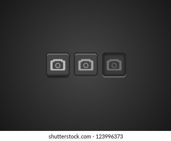 Vector camera / photo / picture button