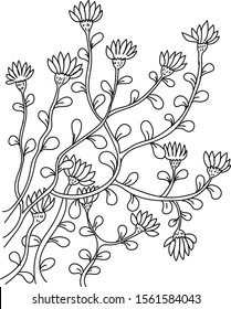 Vector camomile flowers for colouring book 