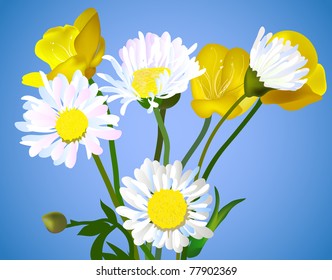 vector camomile on a background sky