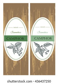 Vector camphor hand drawn flyers and labels.Hand drawn camphor leaves.