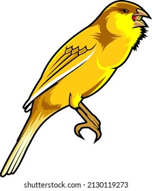 Vector Canary Bird For Best Logo