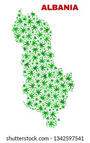 Vector cannabis Albania map collage. Template with green weed leaves for weed legalize campaign. Vector Albania map is designed from cannabis leaves.