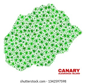Vector cannabis Alegranza Island map collage. Template with green weed leaves for cannabis legalize campaign. Vector Alegranza Island map is composed with cannabis leaves.