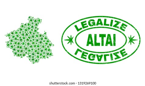 Vector cannabis Altai Republic map collage and grunge textured Legalize stamp seal. Concept with green weed leaves. Concept for cannabis legalize campaign.
