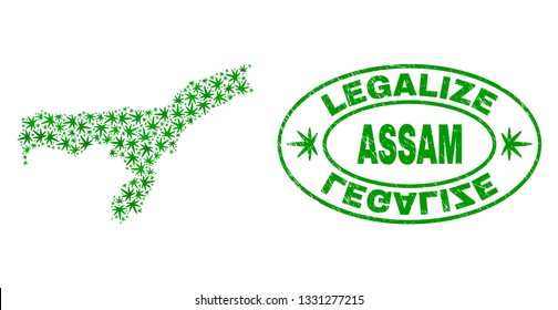 Vector cannabis Assam State map collage and grunge textured Legalize stamp seal. Concept with green weed leaves. Concept for cannabis legalize campaign.