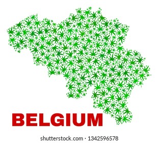 Vector cannabis Belgium map mosaic. Concept with green weed leaves for cannabis legalize campaign. Vector Belgium map is constructed with cannabis leaves.