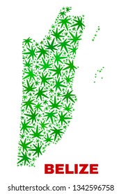 Vector cannabis Belize map mosaic. Template with green weed leaves for marijuana legalize campaign. Vector Belize map is organized with cannabis leaves.