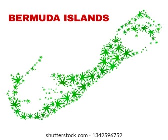 Vector cannabis Bermuda Islands map collage. Concept with green weed leaves for weed legalize campaign. Vector Bermuda Islands map is constructed of weed leaves.