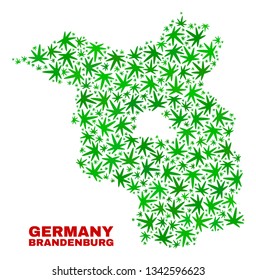 Vector cannabis Brandenburg Land map mosaic. Concept with green weed leaves for cannabis legalize campaign. Vector Brandenburg Land map is formed with cannabis leaves.