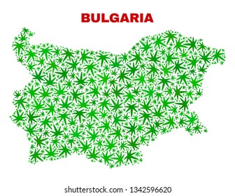 Vector cannabis Bulgaria map mosaic. Concept with green weed leaves for weed legalize campaign. Vector Bulgaria map is created with cannabis leaves.