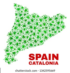 Vector cannabis Catalonia map mosaic. Concept with green weed leaves for weed legalize campaign. Vector Catalonia map is designed from weed leaves.