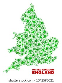 Vector cannabis England map mosaic. Template with green weed leaves for weed legalize campaign. Vector England map is designed with herbal leaves.