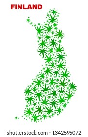 Vector cannabis Finland map collage. Template with green weed leaves for weed legalize campaign. Vector Finland map is constructed with weed leaves.