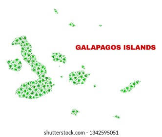 Vector cannabis Galapagos Islands map collage. Concept with green weed leaves for cannabis legalize campaign. Vector Galapagos Islands map is composed with herbal leaves.