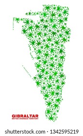 Vector cannabis Gibraltar map mosaic. Template with green weed leaves for weed legalize campaign. Vector Gibraltar map is organized with cannabis leaves.
