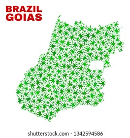 Vector cannabis Goias State map mosaic. Template with green weed leaves for weed legalize campaign. Vector Goias State map is organized with weed leaves.